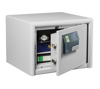 209515 DualSafe DS425EFP.jpg